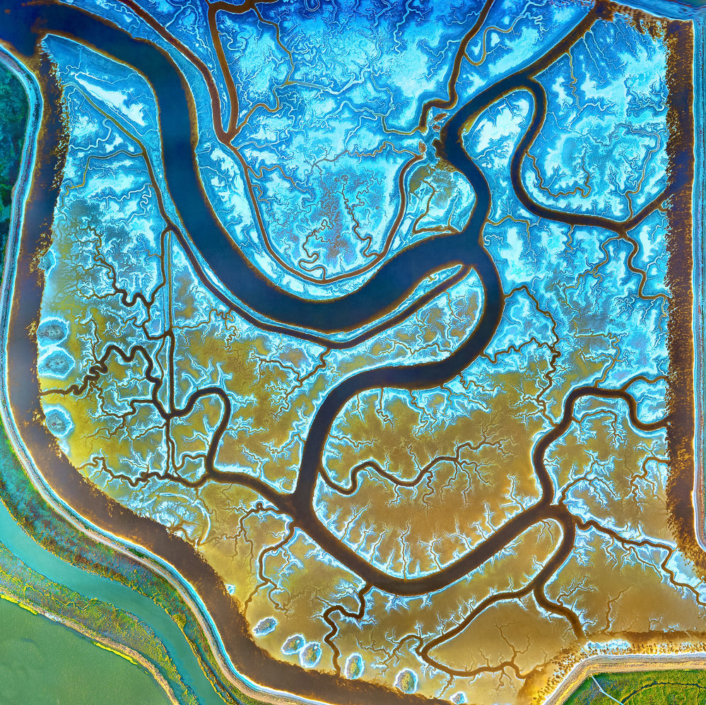 cropped-AdobeStock_224801236_50.jpeg Color-coded aerial elevation map of tidal creeks and marshland